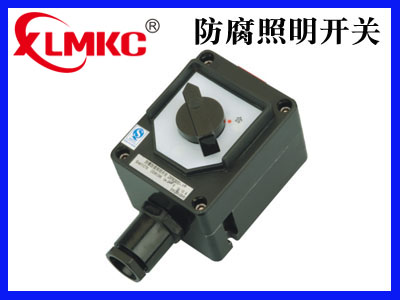 ZXF8030/51系列防爆防腐照明开关(IIB、IIC)