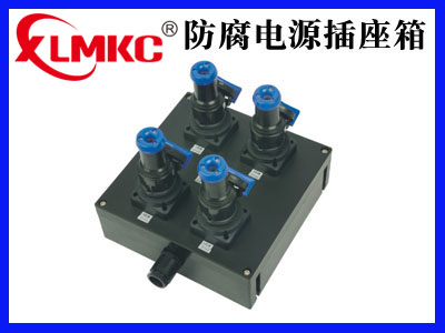 BXS8030系列防爆防腐电源插座箱(IIB、IIC)