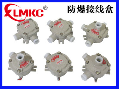 AH系列防爆接线盒(IIB、IIC)