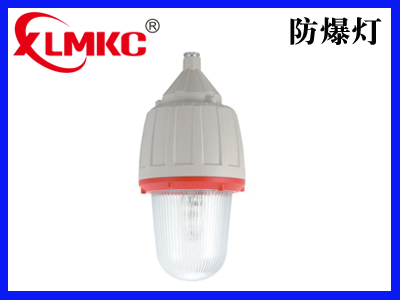 CCd92系列防爆照明灯(一体式)(IIC)