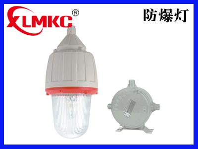 CCd93系列防爆照明灯(分体式)(IIC)