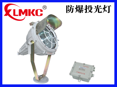 BTd-53防爆投光灯(IIC)