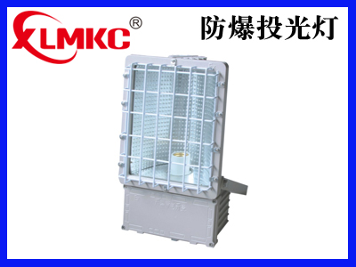 BTd-92防爆泛光灯(IIC)