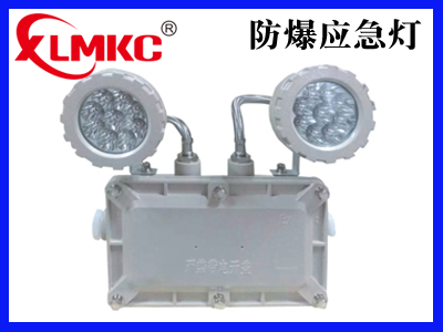 BCJ防爆照明应急灯(IIB)