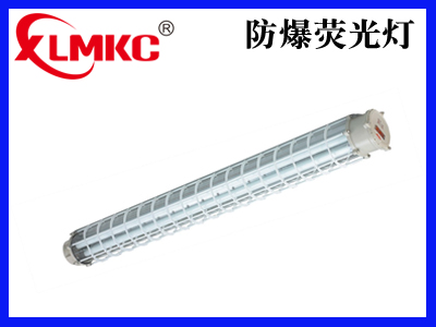 BPY(T5)系列防爆节能高效荧光灯(IIC)