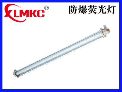 BPY-L系列防爆LED荧光灯(IIC)