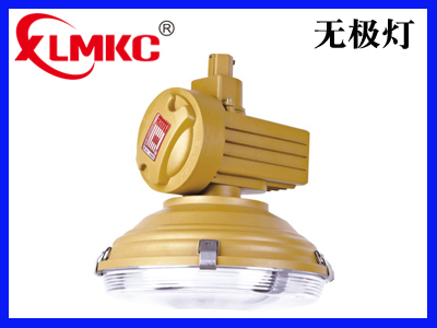 FZD-01系列免维护节能防水防尘防腐灯