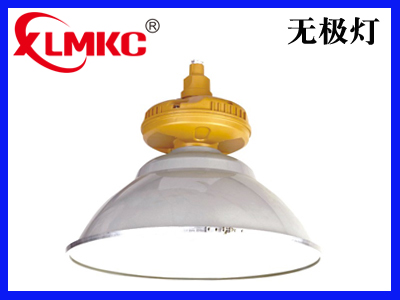 FZD-02免维护节能防水防尘防腐工厂灯