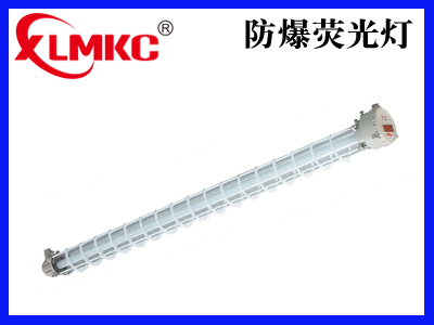 BPY系列防爆荧光灯(IIB)