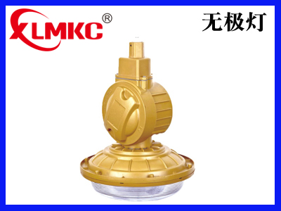 BZD-01防爆免维护低碳无极灯(IIC)