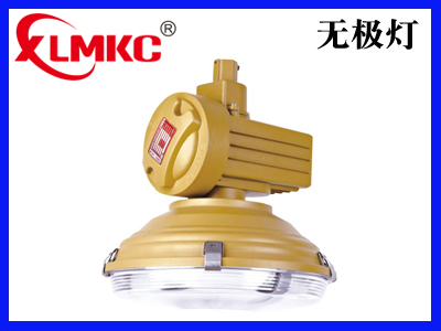 BZD-02防爆免维护低碳无极灯(IIC)