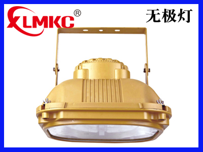 BZD-03防爆免维护低碳无极灯(IIC)